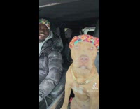 Guy jams and chills with dog in the car