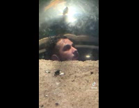 Guy watches fish at aquarium metal reflection 