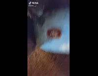 Collab BitchIG2 - Santa is real name on present