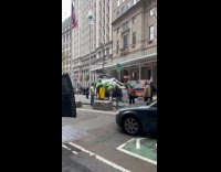 Group protest spray paint bull on street 