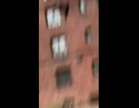 Man gets chased by turkey 