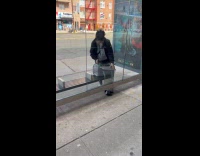 Collab WINY - Woman shoves pet parrot in carrier 