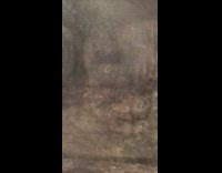 Collab DailyDoseOfInternet - Owl stuck inside fireplace seen through glass