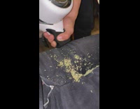 Guy uses vacuum to pick up pieces of weed 