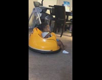 Little boy yellow spin toy carpet living room