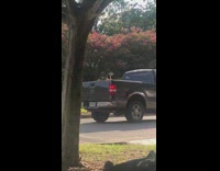 Woman blue shorts tiktok dance middle street