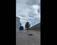 Hawk Glides then Picks Up Crawfish on Ground