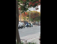 Neon green shorts guy blue car