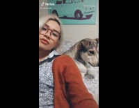 Dog bites girl in the face