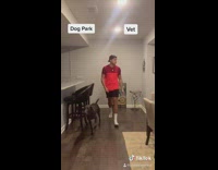 Red shirt guy dog this or that 