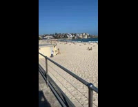 Bikini girl poses beach sand brown dog 