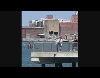 Man white polo dance park while filmer mock