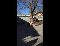 man in black shirt falls out of tree