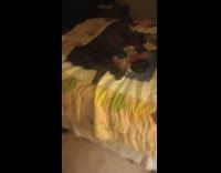 Guy enter bedroom see dog lay on bed