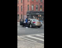 Guys dance white duck on car roof