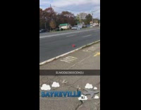 Toy elmo street car runs it over 