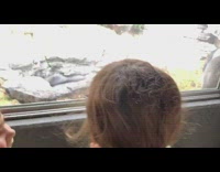 Gorilla inside cage pounded glass scared little girls
