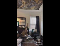 Collab BitchMP - Ninja cat jump climb on ceiling tapestry 