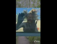 Driver gets scared by zombie 