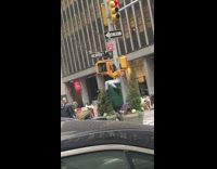 Posing with stop light 