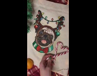 Collab PLC - Pug on customized tote bag and candy cane
