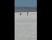 White shirt girl tiktok dances salt ground 