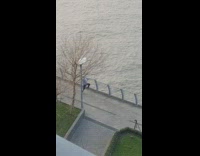 Woman in checkered polo ballet dance by the seaside