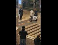 Collab Subway Creatures - Woman pulls pet pig on leash down stairs in Union station