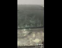 Lilo and Stitch sell me and buy a rabbit instead voice clip, girl talks to her hamster in cage