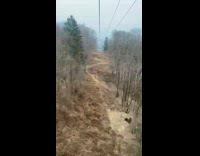 Collab PubityPets - Cable Car Travel Timelapse towards Ski Resort