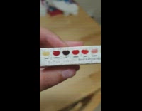 Girl gives sister rotten egg jelly bean