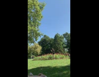 Man black jacket jump and roll from flower bushes Part 1