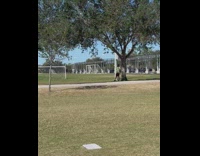 Guy green shirt take selfie under tree