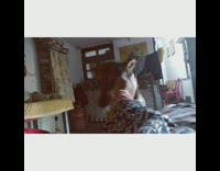 Black brown dog ask woman scratch head