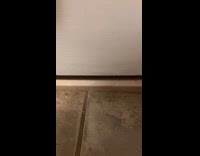 Girl touch dog ear under the door