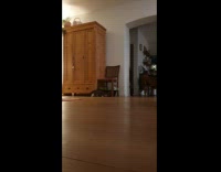 Cat tries to jump on owner walking