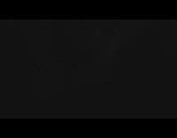 Bug flies right to the filmer from the screen door