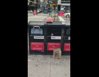 Fake boobs plastic bag black recycling bin 