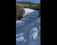 Skier tries to do 2  backflips 