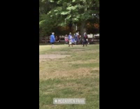 Red and blue knight battle with sword and shield at McCarren Park