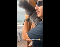 Man holds cat like gun clears room