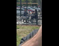 Couple film cheers drink on table dog