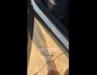 Woman pranks husband with car audio