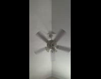 Collab BitchMP - Bologna on fan falls off onto phone