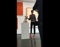 music white dog sitting on stand looking around