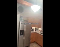 Man tries to bake largest apple pie