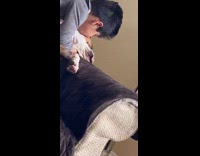 Baby grey track suit giving white brown dog kisses