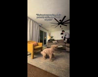 Woman plays tag with dog having zoomies