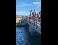 Girl dives off bridge lands on head
