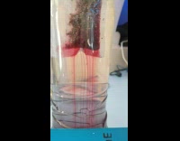 Red streaks from the teabag to the water